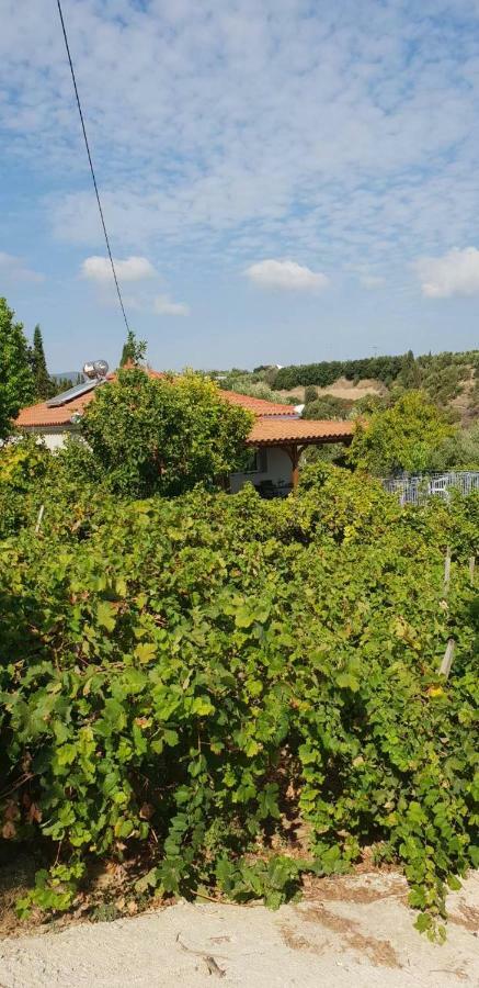 Ξενώνας Αγιά Τριάδα Koróni Εξωτερικό φωτογραφία